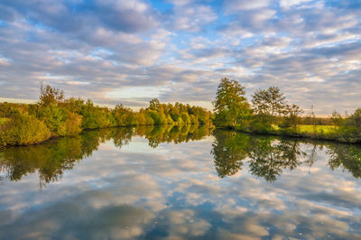 Reflection of trees in calm lake