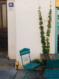Potted plant on table in house