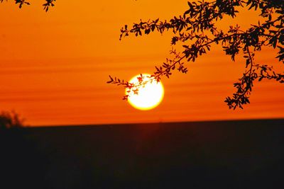 Silhouette bird flying against orange sky