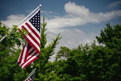 Low angle view of flag against trees
