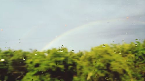 Close-up of wet rainbow in rain