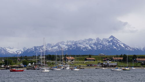 Sailboats moored at harbor against sky during winter