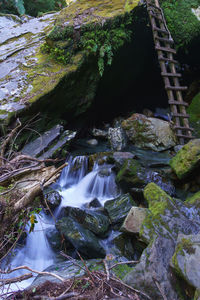 Scenic view of waterfall in forest