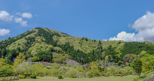 Scenic view of landscape against cloudy sky