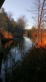 Reflection of trees in lake