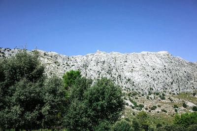 Scenic view of landscape against clear blue sky