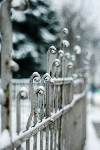 Close-up of icicles on metal railing