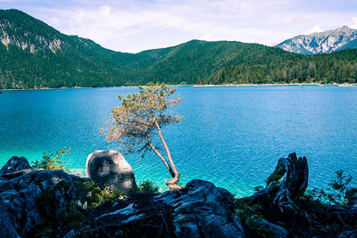 Scenic view of lake and mountains against sky