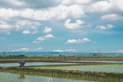 Farmer working on agricultural field against sky