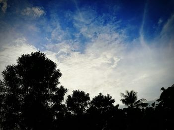 Low angle view of silhouette trees against sky