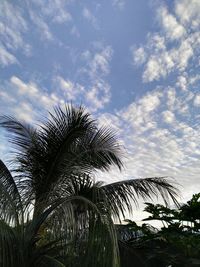 Low angle view of palm trees against cloudy sky