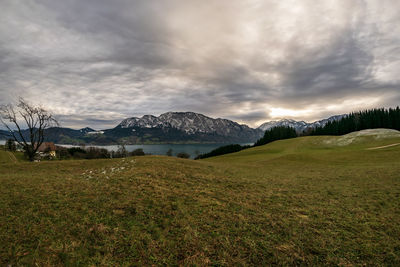 Scenic view of field against sky