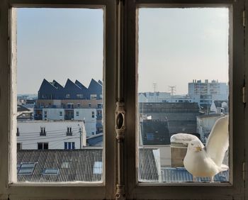 View of cityscape against sky seen through window