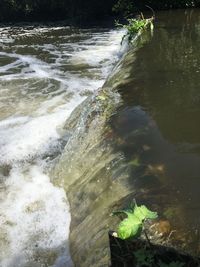 River flowing through rocks