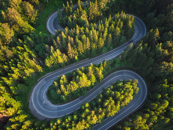 High angle view of road amidst trees in forest