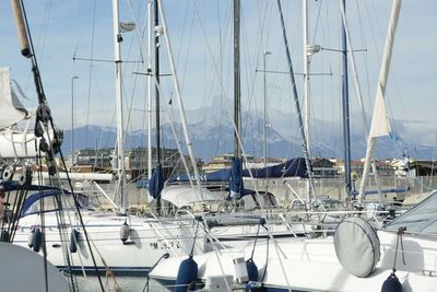 Sailboats moored at harbor