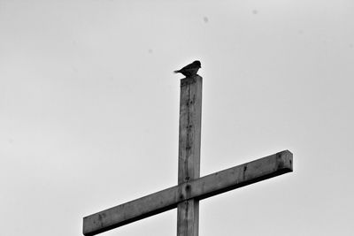 Low angle view of bird perching on wooden post against clear sky