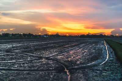 Scenic view of agricultural field during sunset