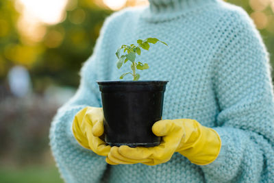 Woman holding green tomato sprout in hands in black flower pot wear yellow rubber gloves over nature