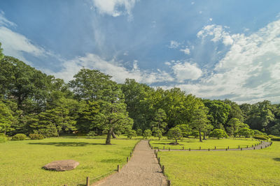 Scenic view of trees on field against sky