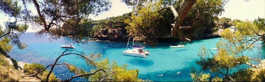 Boat in sea