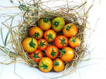 High angle view of eggs in basket