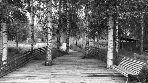 Footbridge in forest