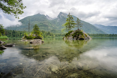 Hintersee lake with reflection of watzmann. ramsau berchtesgaden bavaria, germany, europe