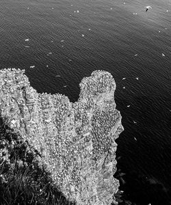 High angle view of rock on beach