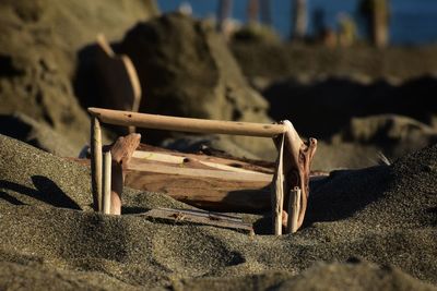 Close-up of old wood on rock