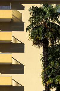 Low angle view of palm tree by building against clear sky