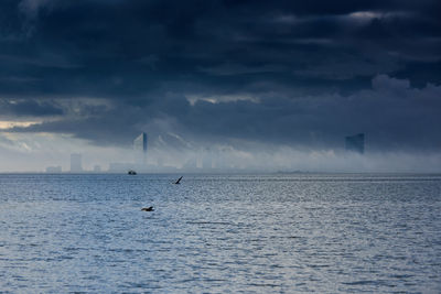 Seagull flying over sea against sky