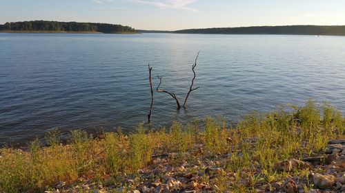 Scenic view of lake against sky