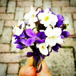 Close-up of hand holding flower