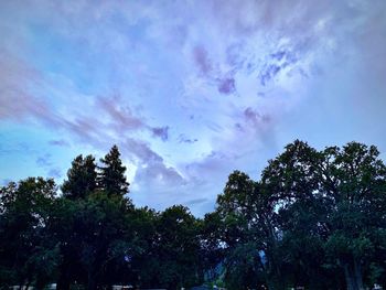 Low angle view of silhouette trees against sky