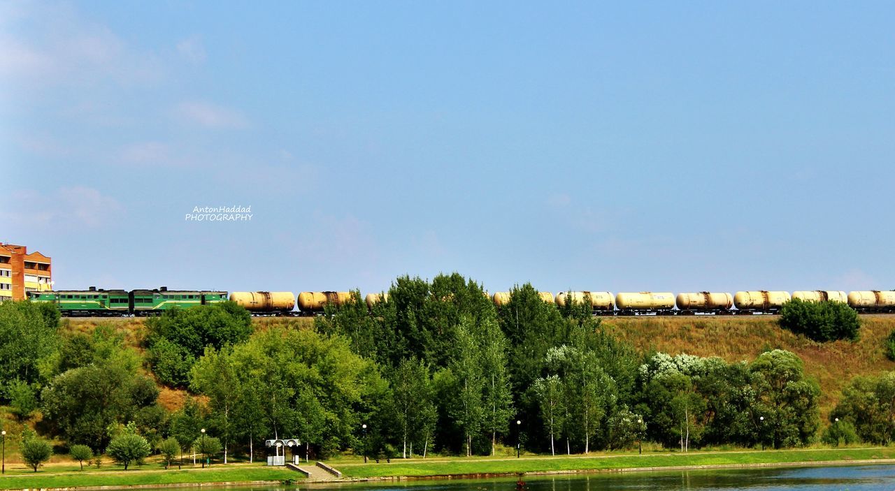 tree, building exterior, built structure, architecture, copy space, clear sky, grass, blue, green color, house, landscape, field, tranquil scene, sky, nature, tranquility, growth, scenics, beauty in nature, green