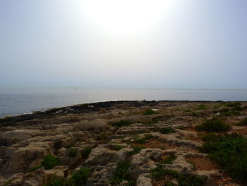 Scenic view of sea against clear sky