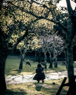 Rear view of woman walking in park