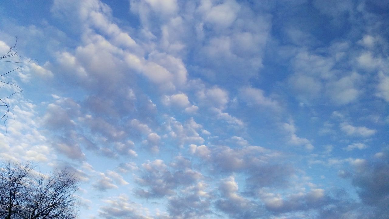 low angle view, sky, cloud - sky, nature, no people, full frame, backgrounds, beauty in nature, outdoors, day