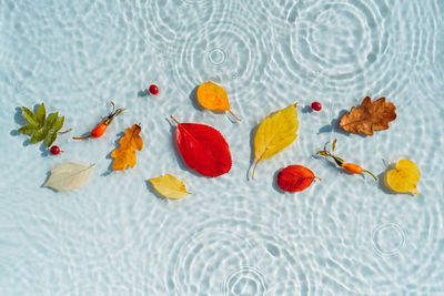 Multi-colored autumn leaves on the background of water with drops and waves