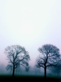 Bare tree on field against clear sky