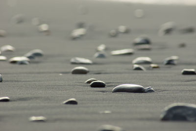 Full frame shot of objects