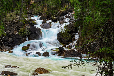 Scenic view of waterfall in forest