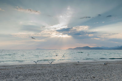 Scenic view of beach against sky during sunset