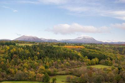 Scenic view of landscape against sky