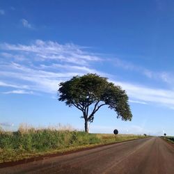 Road by trees on field against sky