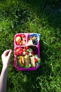 Low section of person holding multi colored food on grass