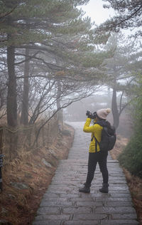 Full length rear view of woman photographing in forest