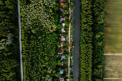 High angle view of plants and trees in city