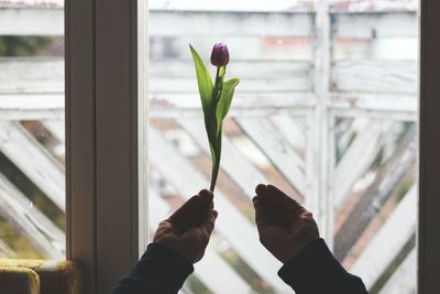 Close-up of hand against window